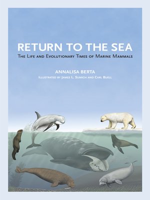 cover image of Return to the Sea
